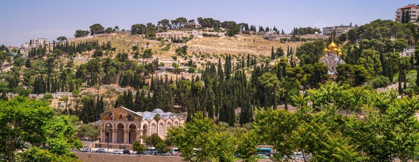 1080_mount of olives in jerusalem, israel